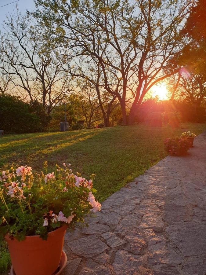 Agriturismo Satanca Villa Арбус Екстериор снимка